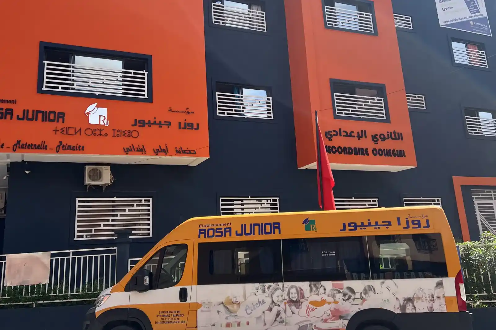 روزا جينيور المحاميد